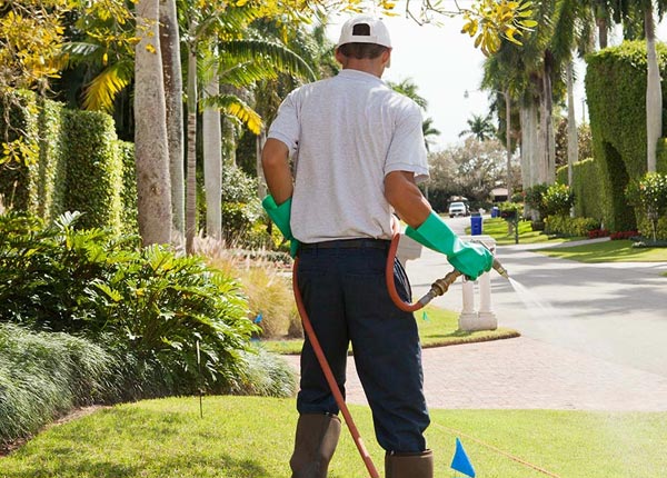 About Norris SC Pest Control Pros